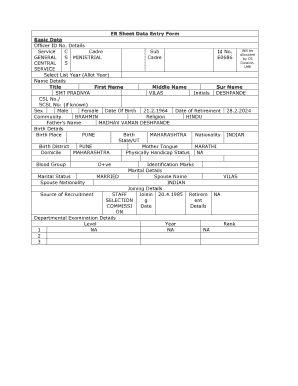 ER Sheet Data Entry Form