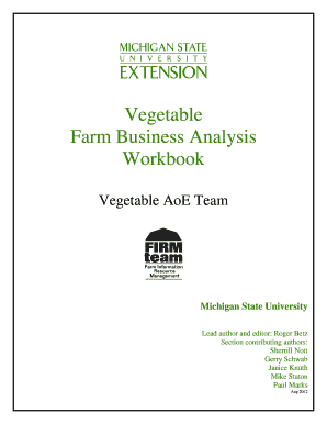 Vegetable Farm Financial Analysis Workbook