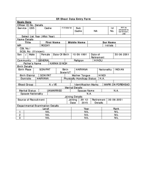 ER Sheet Data Entry Form