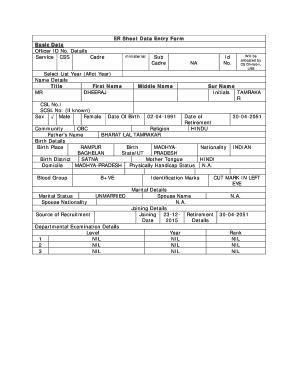 ER Sheet Data Entry Form