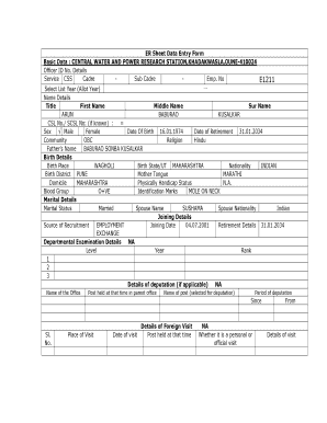 Employee Record Sheet Data Entry Form