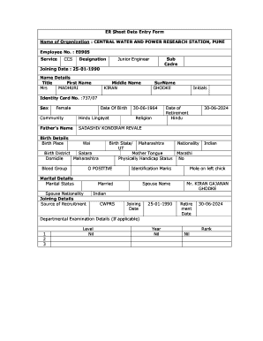ER Sheet Data Entry Form