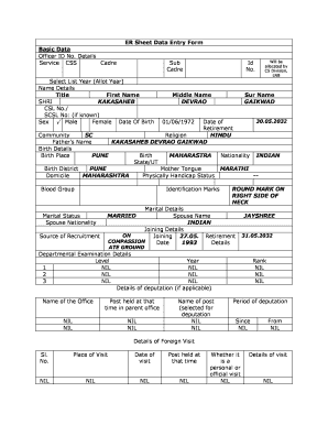 ER Sheet Data Entry Form