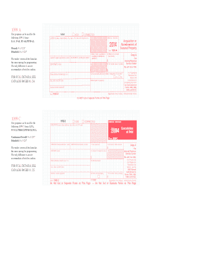 IRS Form 1099-C