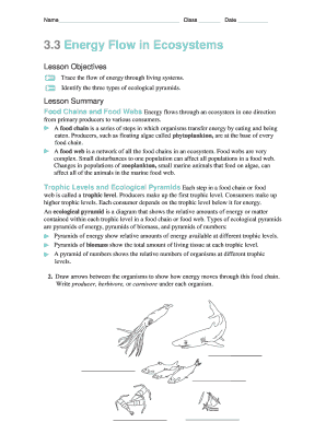 Energy Flow in Ecosystems Worksheet