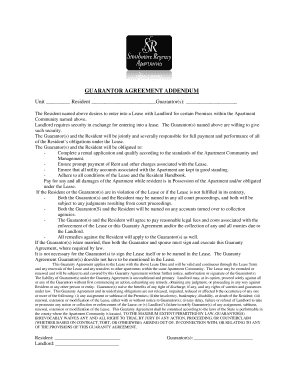 Guarantor Agreement Addendum