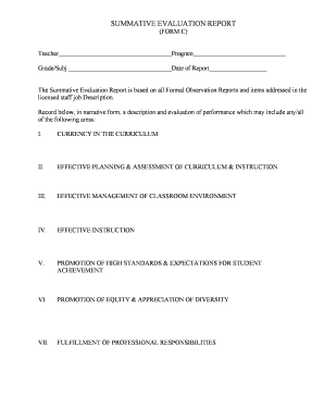 Summative Evaluation Report Form