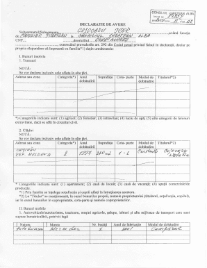 Romanian Asset Declaration Form