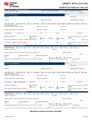 Credit Application for RRSP Loan