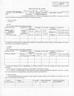 Romanian Asset Declaration Form