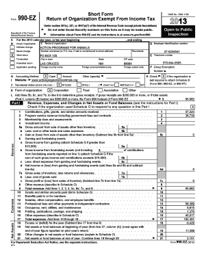 Form 990-EZ 2013