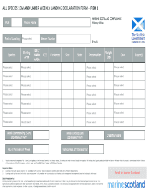 Form preview picture