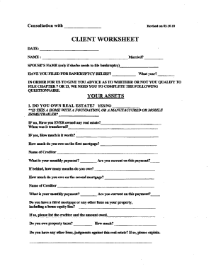 Bankruptcy Consultation Client Worksheet