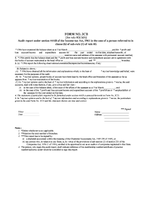 Form 3CB Audit Report