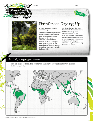 Tropical Rainforest Activity Worksheet