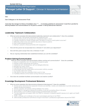 Manager Letter of Support for Clinician IV Advancement