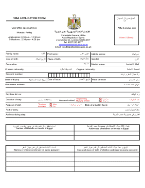 Egyptian Visa Application Form