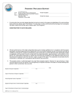 Florida DEP Periodic Progress Report
