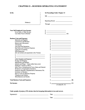 Chapter 13 Business Operating Statement