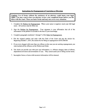 Fillable Online Instructions for Expungement of Conviction or Diversion ...