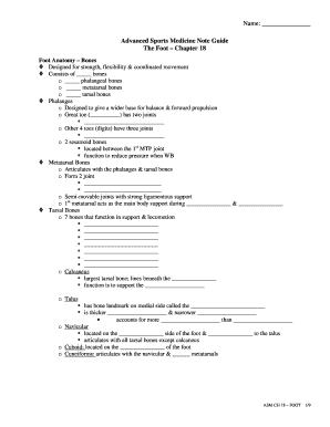 Advanced Sports Medicine Foot Anatomy Guide