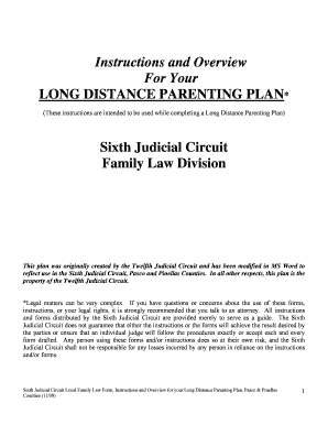 Long Distance Parenting Plan