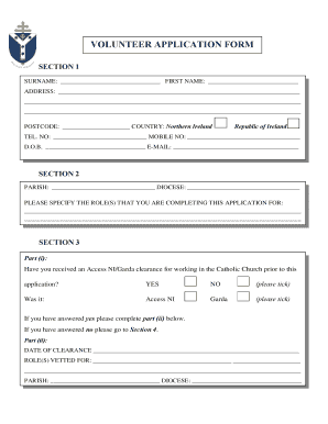 Volunteer Application Form