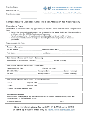 Comprehensive Diabetes Care: Medical Attention for Nephropathy