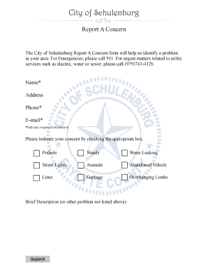 City of Schulenburg Report A Concern Form