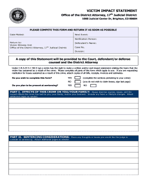 Victim Impact Statement