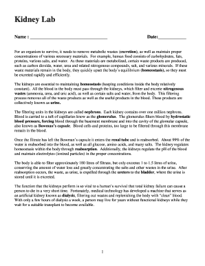 Kidney Lab Report
