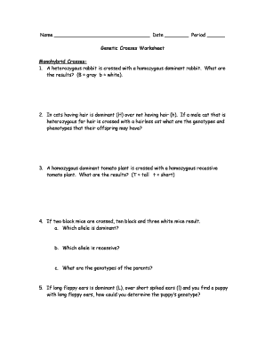 Genetic Crosses Worksheet