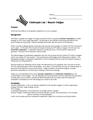 Clothespin Lab Muscle Fatigue Experiment