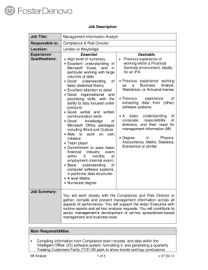 Management Information Analyst Job Description