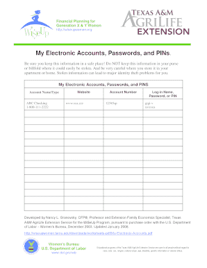 Electronic Accounts and Passwords Form