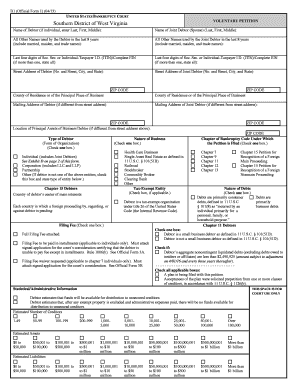 US Bankruptcy Voluntary Petition Form