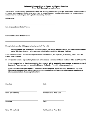 Minor Child Custody Information Form