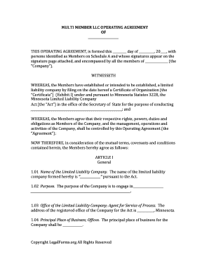 Multi Member LLC Operating Agreement