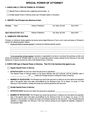 Special Power of Attorney Form