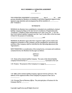 New York Multi-Member LLC Operating Agreement