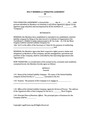 Multi Member LLC Operating Agreement