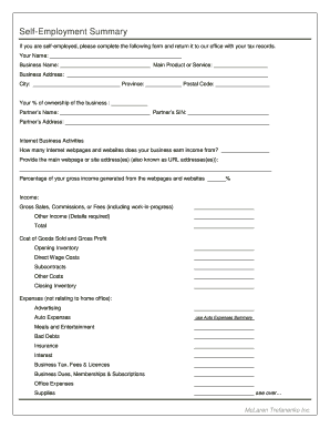 Self-Employment Summary Form