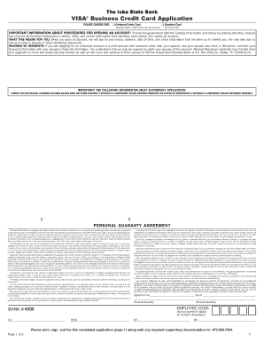 VISA Business Credit Card Application