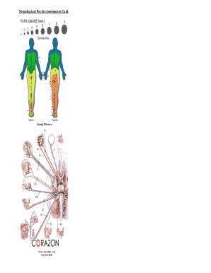 Neurological Pocket Assessment Card
