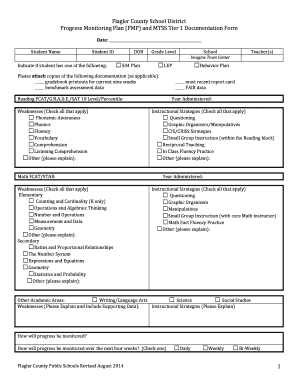 Progress Monitoring Plan Form