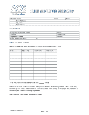 Volunteer Work Experience Form
