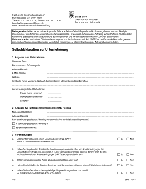 Selbstdeklaration zur Unternehmung