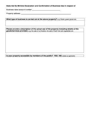 State Aid De Minimis Declaration Form