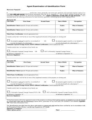Agent Examination of Identification Form