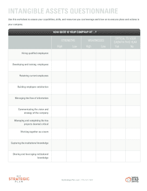 Intangible Assets Questionnaire